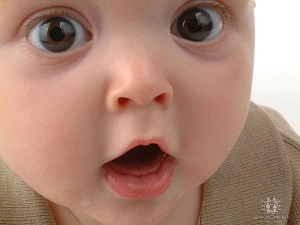 68255730_1293144389_getImageCAG8W3XD (600x450, 34Kb)