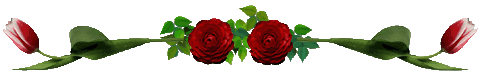4692251_0_68660_5bca7b35_L_6_ (480x75, 9Kb)