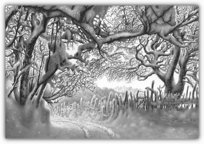 1294049488_1293718026_beautiful_winter_drawings_52 (700x495, 92Kb)