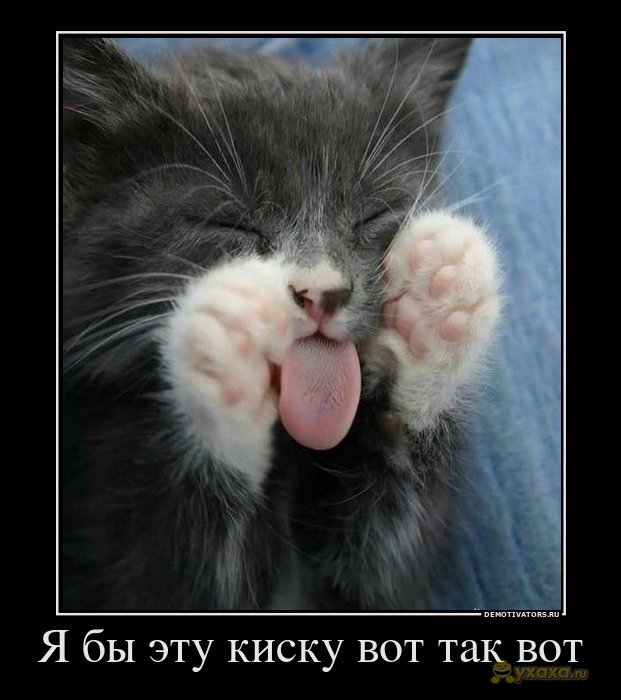 yxaxa_ru_ya-by-etu-kisku-vot-tak-vot1 (621x700, 60Kb)