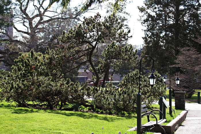 1109989_1IMG_3091 (700x466, 363Kb)