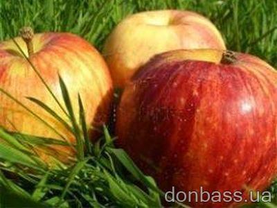 apples (400x300, 23Kb)