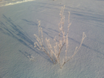  IMG162-01 (700x525, 283Kb)