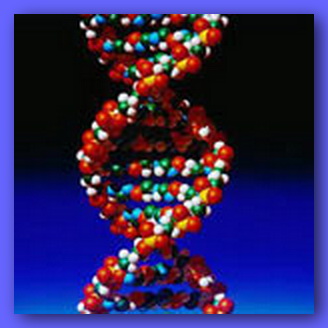 dna (328x328, 37Kb)