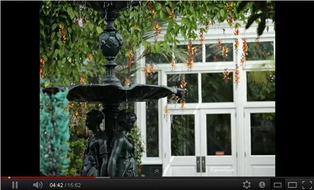 1109989_video2 (640x388, 42Kb)