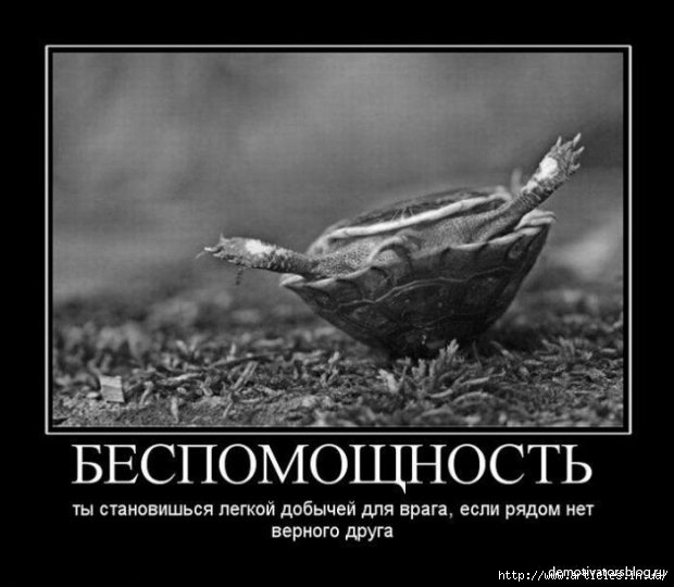 --%20-%20%20_13991325 (620x540, 110Kb)