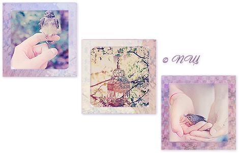 Preview_spring (470x300, 185Kb)