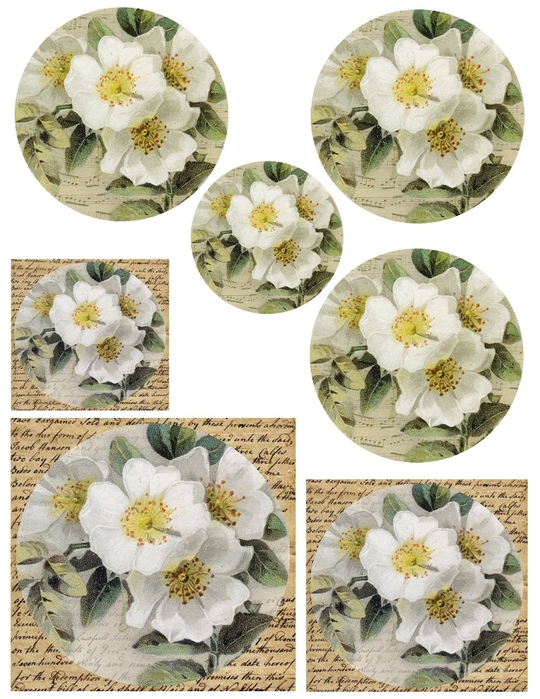 letter livestock & white roses tags (540x700, 303Kb)