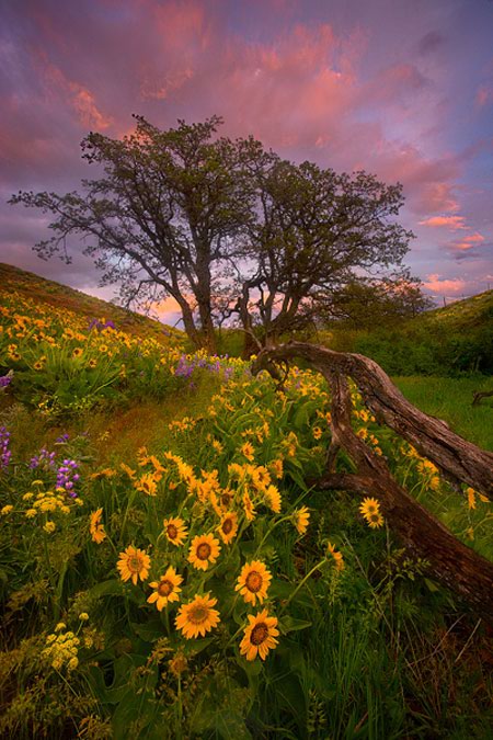 Marc Adamus2__ (5) (450x675, 88Kb)