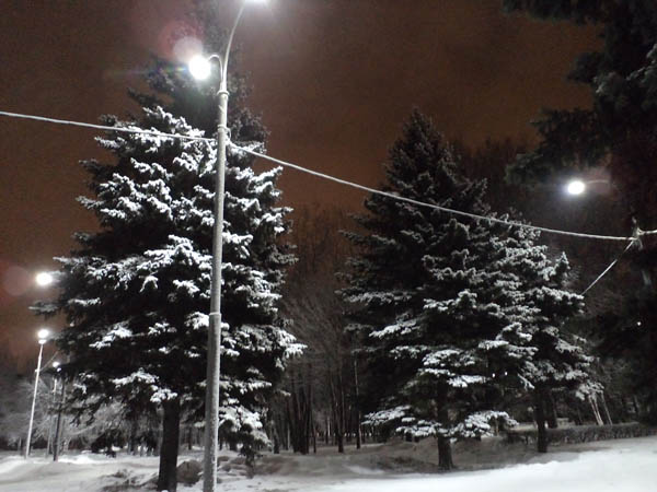 DSC01678 (600x450, 76Kb)