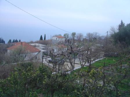 DSC07668 (448x336, 32Kb)