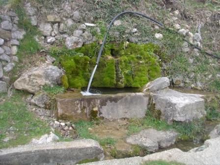 DSC07676 (448x336, 45Kb)