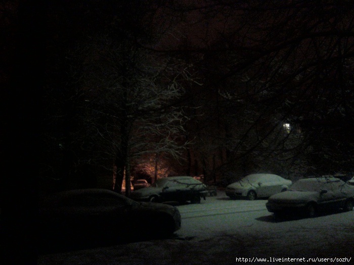 IMG195-01 (700x525, 163Kb)