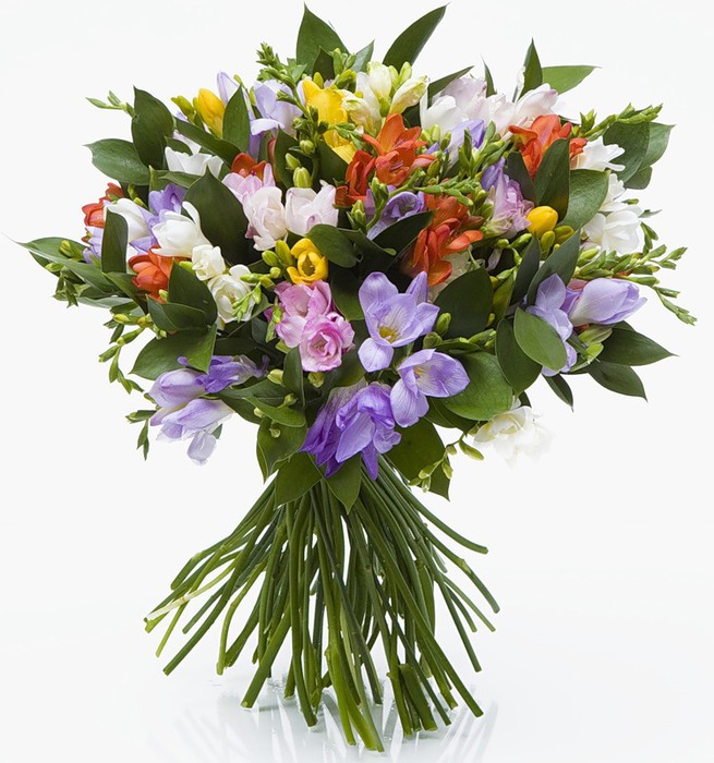 0_6f5fb_d0058bd5_XL (655x700, 119Kb)