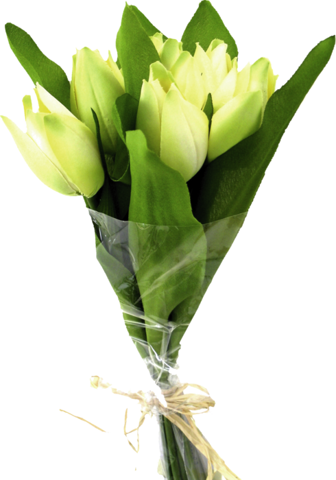 beltulp011 (490x700, 280Kb)