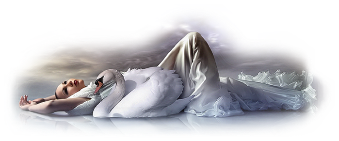 ImagePreview.aspx (700x291, 319Kb)