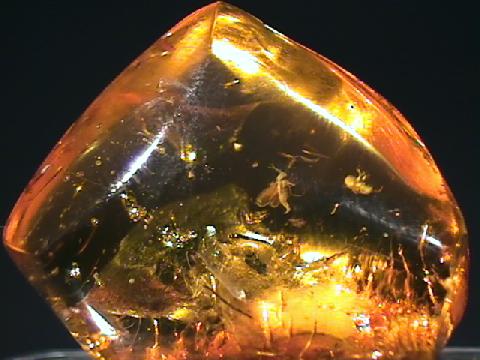 3623822_yantar_1_ (480x360, 30Kb)