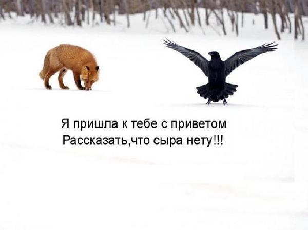 5 (600x449, 22Kb)