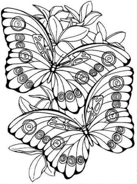 coloriage-papillons-8_gif (522x700, 117Kb)