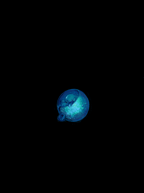 1243386087333679 (480x640, 33Kb)
