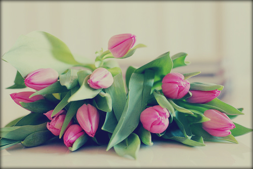 2620530_tumblr_ly0y5zo1_500 (500x334, 135Kb)