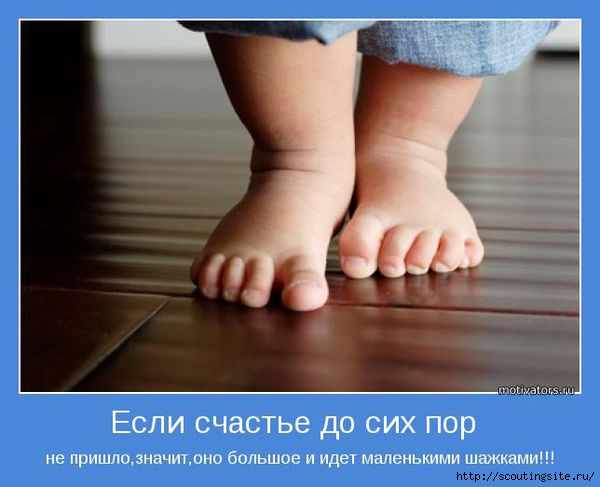 78_a3b515dcecb656e5b58a97c31a244a66 (600x487, 100Kb)