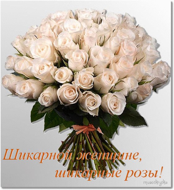 3869930_5f48a47d4c48_1_ (562x612, 81Kb)
