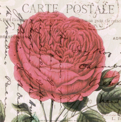 PS2016~Carte-Postale-Rose-IV-Posters (400x401, 61Kb)