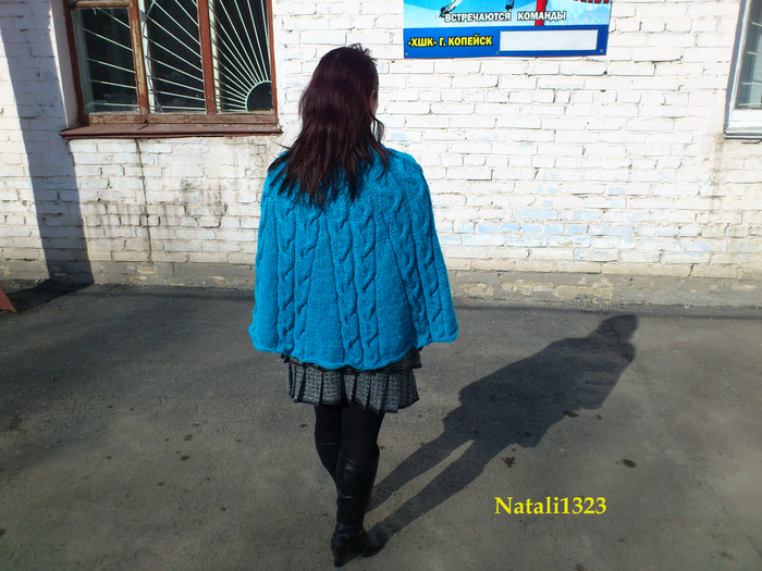 DSC_13727 (700x525, 554Kb)