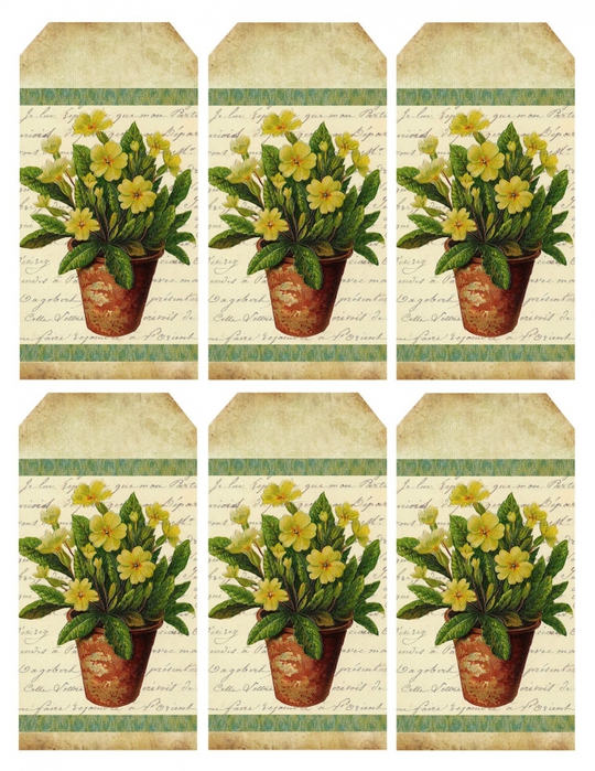 4267534_grungy_texture_yellow_primrose_tags (540x700, 345Kb)