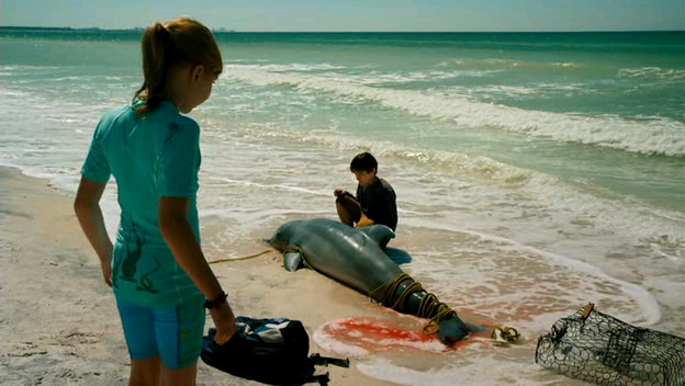 1783607_delfin (624x352, 199Kb)