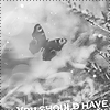 1GcB9teD (100x100, 24Kb)