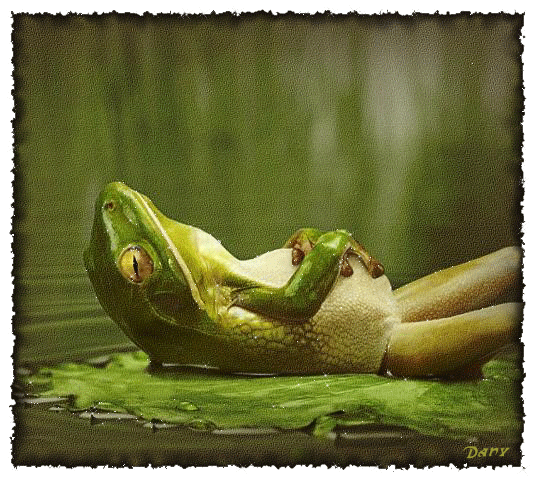 4016659_32_pofigizm (536x480, 381Kb)