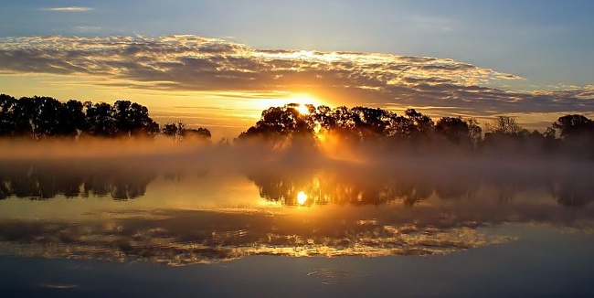 3649429_0b02a85c87892eeba18f20d04b07ba3b (650x326, 71Kb)