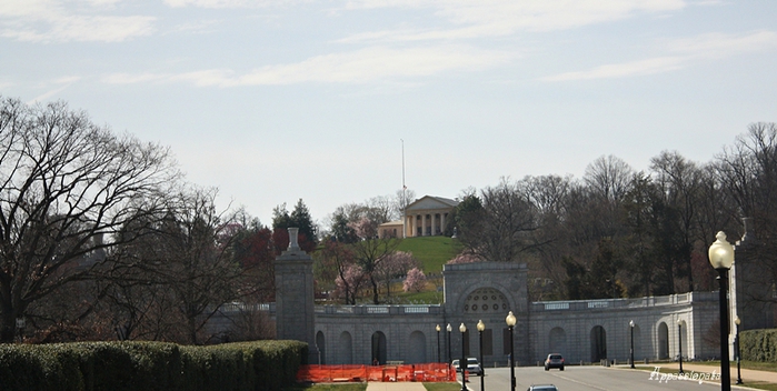 1109989_1IMG_0053_copy (700x352, 185Kb)