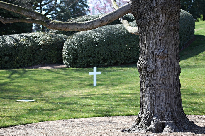 1109989_1IMG_0483 (700x466, 330Kb)