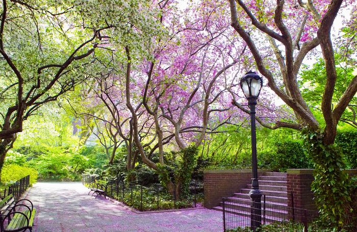 Proshots - Conservatory Garden in Spring, Central Park, New York - Professional Photos (700x455, 778Kb)