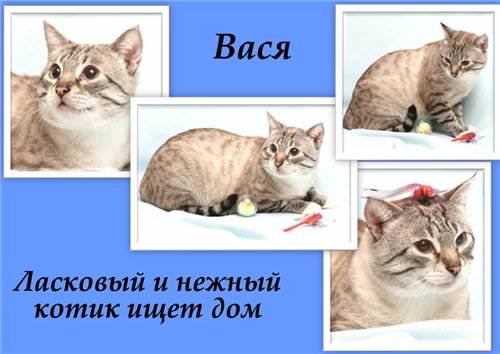  (500x354, 25Kb)