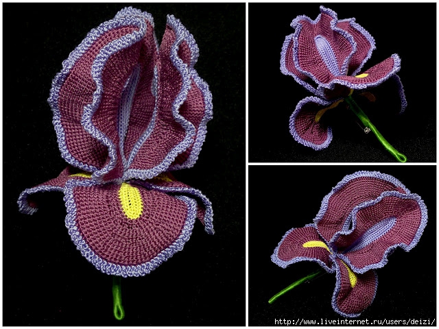 crocheted_silk_iris_3 (640x480, 241Kb)