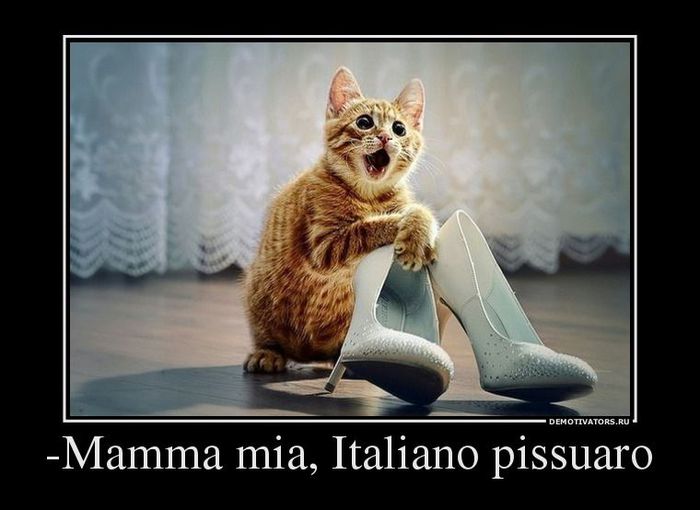 Demotivators_19 (700x510, 45Kb)