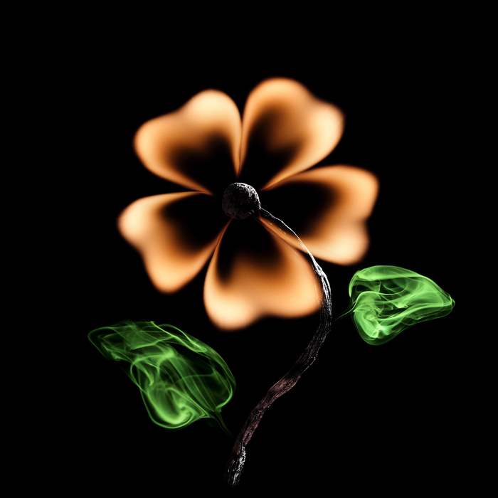 flower2 (700x700, 165Kb)