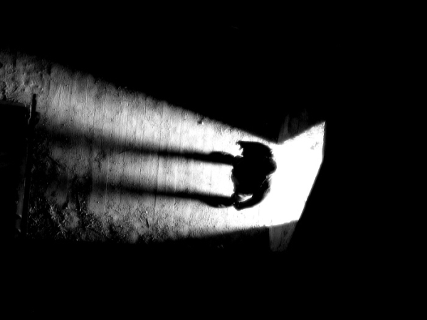 1014 (600x450, 61Kb)