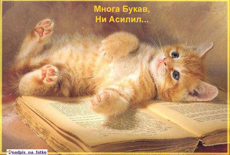 _1F1AD~1 (450x303, 37Kb)