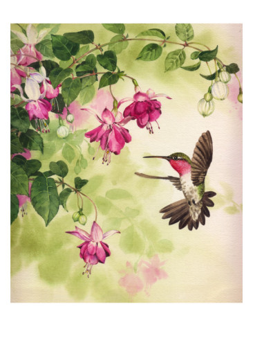 hummingbird-with-flowers (366x488, 54Kb)