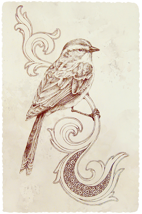 pretty-bird-illustration (466x700, 563Kb)