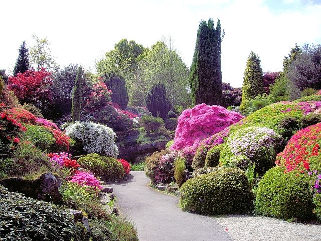 4768551_getImage4 (640x480, 116Kb)