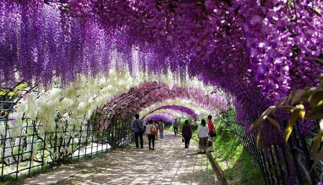 4768551_getImage7 (640x367, 80Kb)