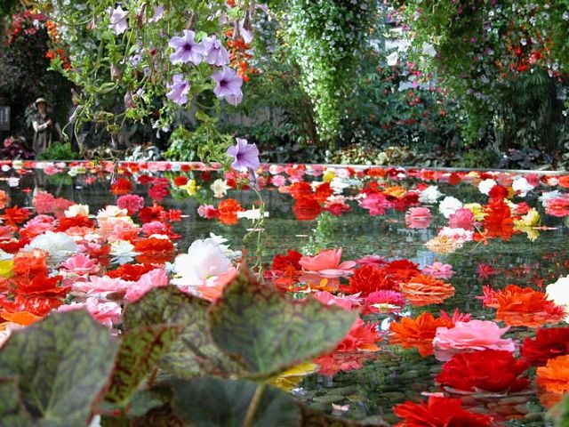 4768551_getImage9 (640x480, 92Kb)