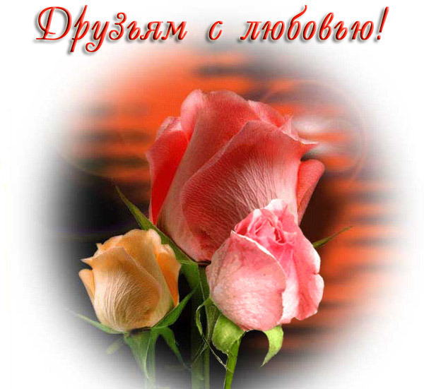 http://img0.liveinternet.ru/images/attach/c/5/85/597/85597844_0_DRUZYAM_S_LYUBOV_roza.jpg