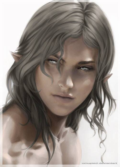 fenwyn_by_omupied-d4uvy7f (502x700, 53Kb)